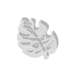 Emporte-pièce monstera