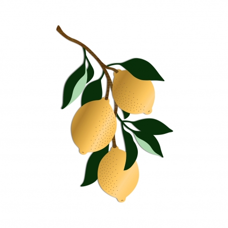 Décoration originale grappe de citrons colorée