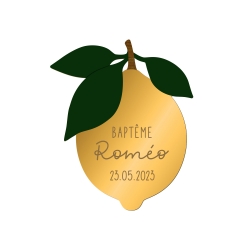 Magnet en plexiglas citron