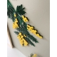 Décoration murale colorée mimosa